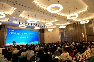 中原數字大腦 河南省級數字經濟研究院成立，引領創業投資新浪潮